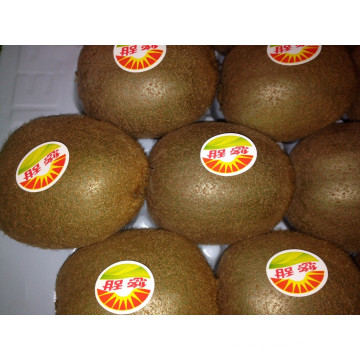 New Crop Kiwi Fruit for Sale